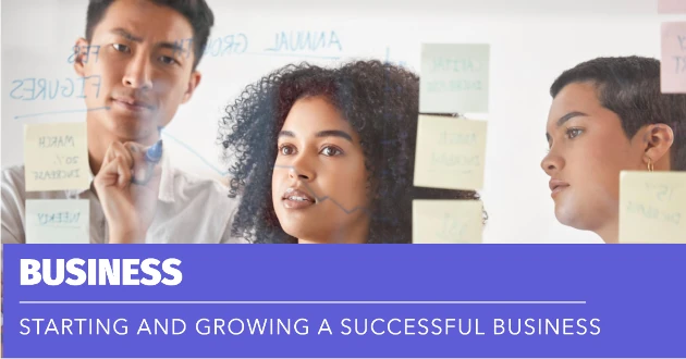 Business - Starting and Growing a Successful Business